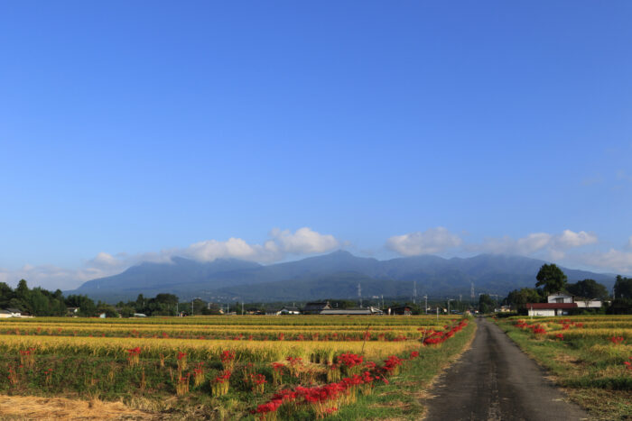 9月30日(水)　AM 7:31　前橋市苗ケ島町