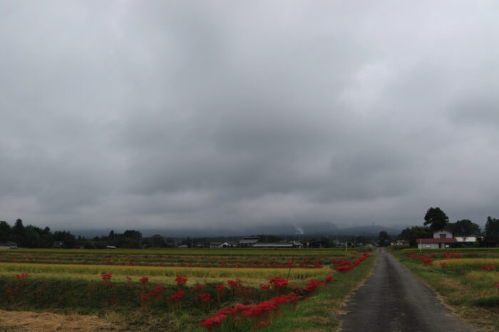 10月1日(木) 　AM 7:53　前橋市苗ケ島町