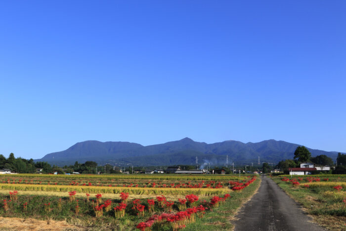 10月2日(金)　AM 7:37　前橋市苗ケ島町