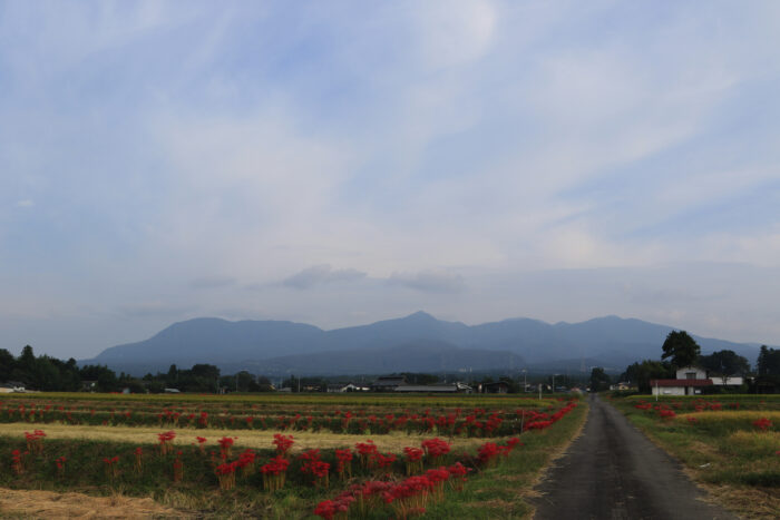 10月3日(土)　AM 7:39　前橋市苗ケ島町