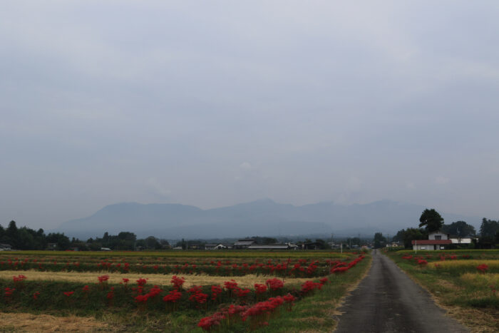 10月4日(日)　AM 9:39　前橋市苗ケ島町