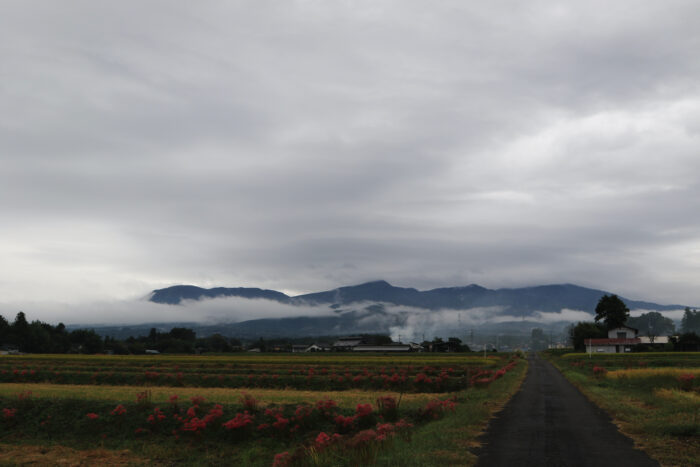 10月9日(金)　AM 7:36　前橋市苗ケ島町