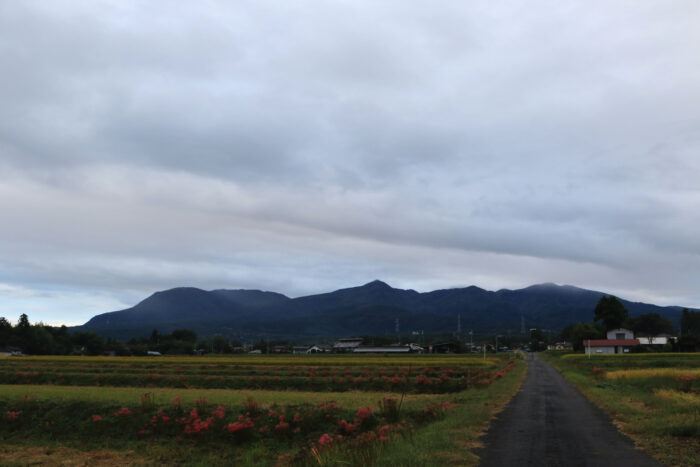 10月11日(日)　AM 6:10　前橋市苗ケ島町