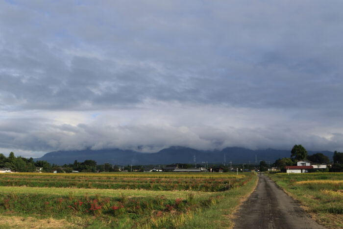 10月12日(月)　AM 7:38　前橋市苗ケ島町