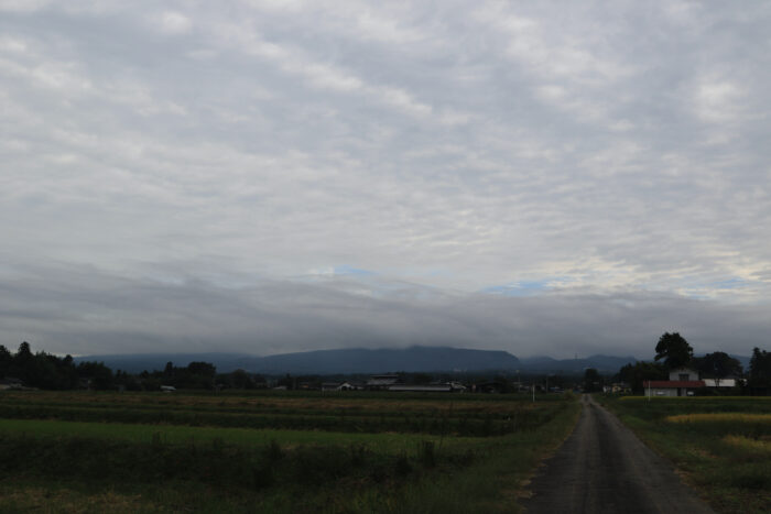 10月16日(金)　AM 7:51　前橋市苗ケ島町