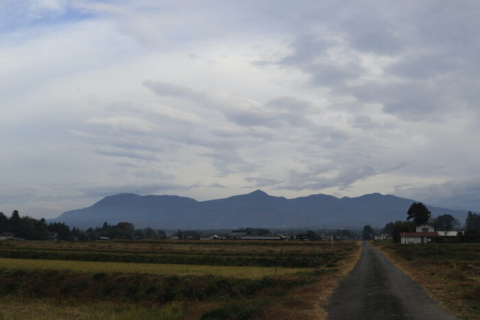 11月20日(金)　AM 8:09　前橋市苗ケ島町