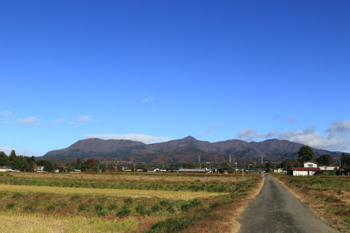 11月21日(土)　AM 8:59　前橋市苗ケ島町