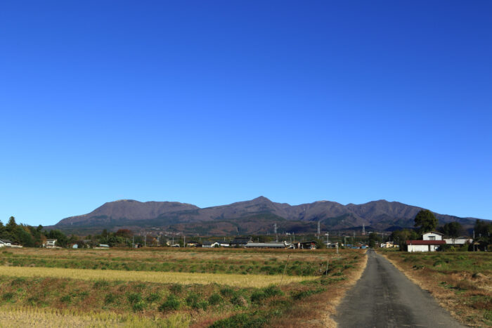 11月23日(月)　AM 8:37　前橋市苗ケ島町