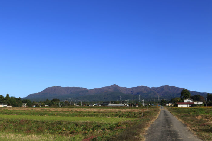 10月31日(土)　AM 8:19　前橋市苗ケ島町