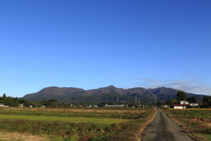 11月4日(水)　AM 7:49　前橋市苗ケ島町