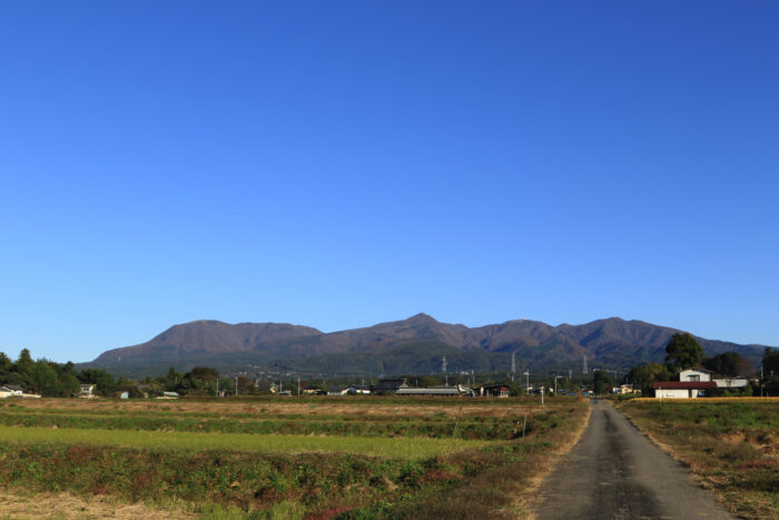 11月5日(木)　AM 7:50　前橋市苗ケ島町