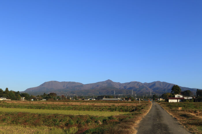 11月13日(金)　AM 7:42　前橋市苗ケ島町