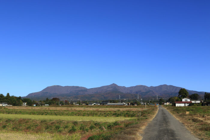 11月14日(土)　AM 9:02　前橋市苗ケ島町