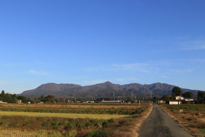 11月16日(月)　AM 7:42　前橋市苗ケ島町