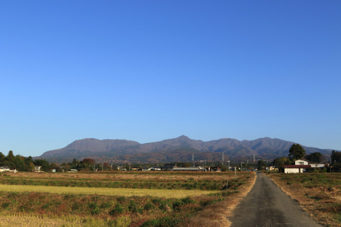 11月17日(火)　AM 7:53　前橋市苗ケ島町