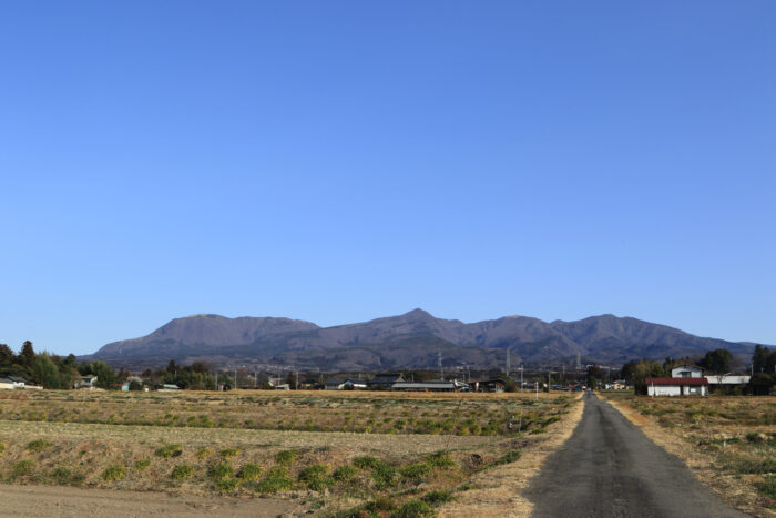 3月11日(木)　AM 8:19　前橋市苗ケ島町