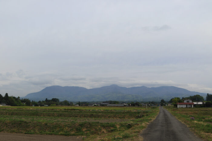 5月7日(金)　AM 7:38　前橋市苗ケ島町