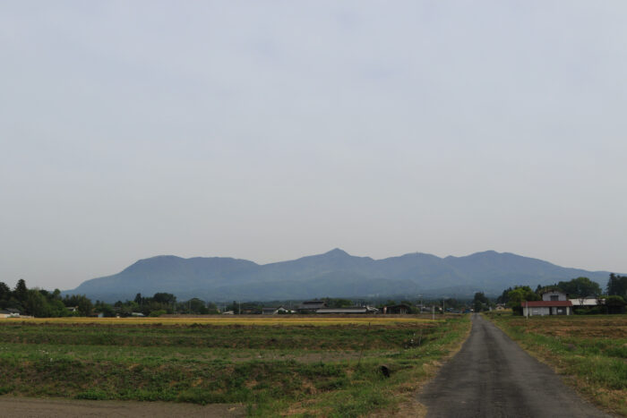 5月14日(金)　AM 7:53　前橋市苗ケ島町