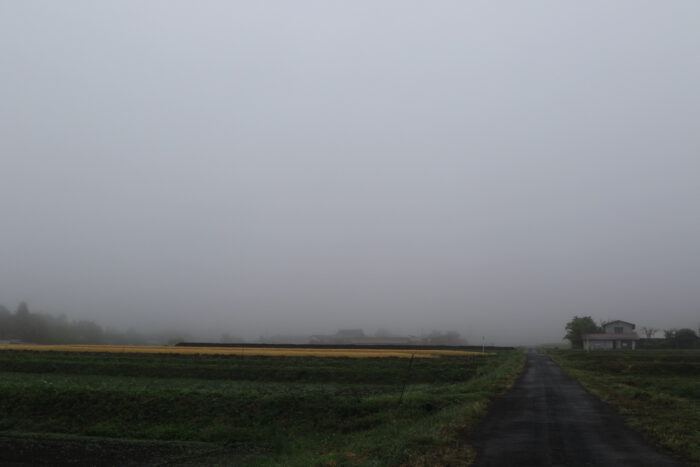 5月19日(水)　AM 7:54　前橋市苗ケ島町