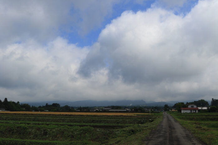 5月23日(日)　AM 8:41　前橋市苗ケ島町