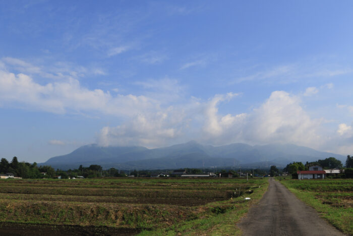 5月30日(日)　AM 7:41　前橋市苗ケ島町