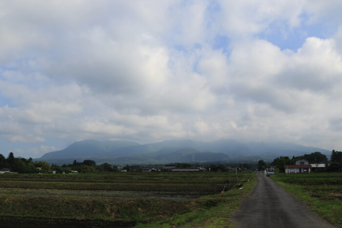 5月31日(月)　AM 7:53　前橋市苗ケ島町