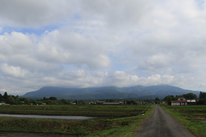 6月3日(木)　AM 7:41　前橋市苗ケ島町