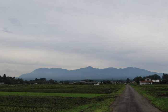 6月6日(日)　AM 7:47　前橋市苗ケ島町