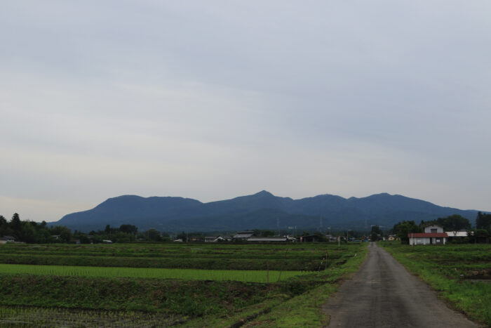 6月7日(月)　AM 7:47　前橋市苗ケ島町