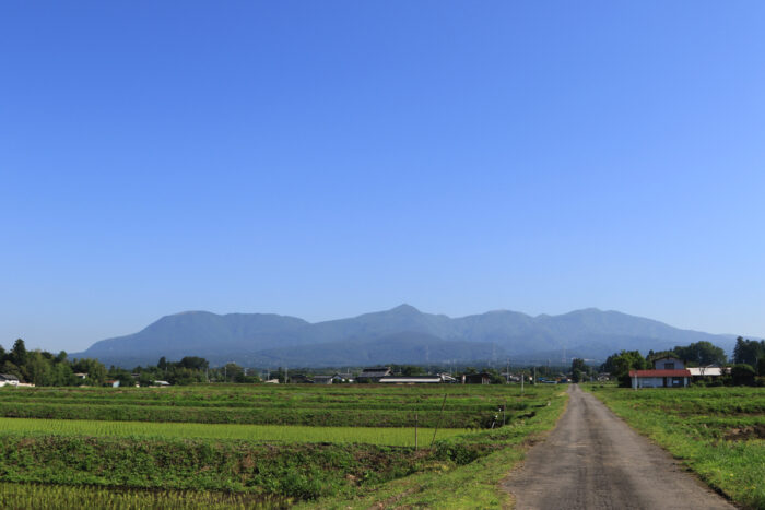 6月9日(水)　AM 8:02　前橋市苗ケ島町