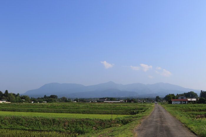 6月10日(木)　AM 7:45　前橋市苗ケ島町