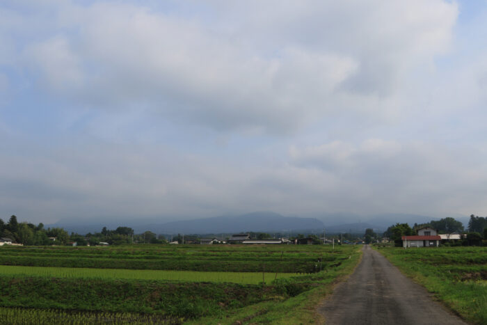 6月11日(金)　AM 7:49　前橋市苗ケ島町