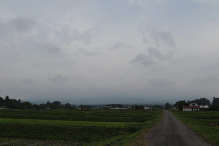 6月13日(日)　AM 7:31　前橋市苗ケ島町