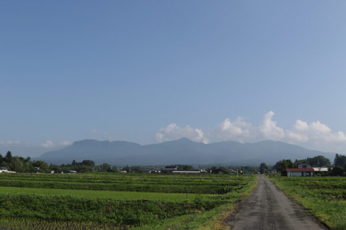 6月15日(火)　AM 7:50　前橋市苗ケ島町