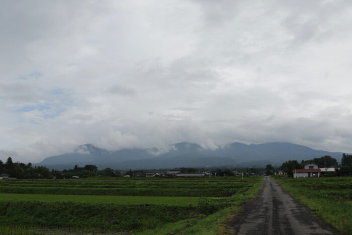 6月17日(木)　AM 8:15　前橋市苗ケ島町