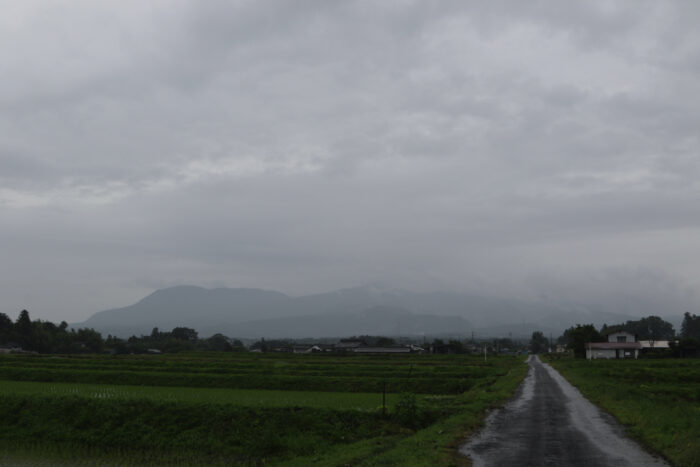 6月19日(土)　AM 7:25　前橋市苗ケ島町