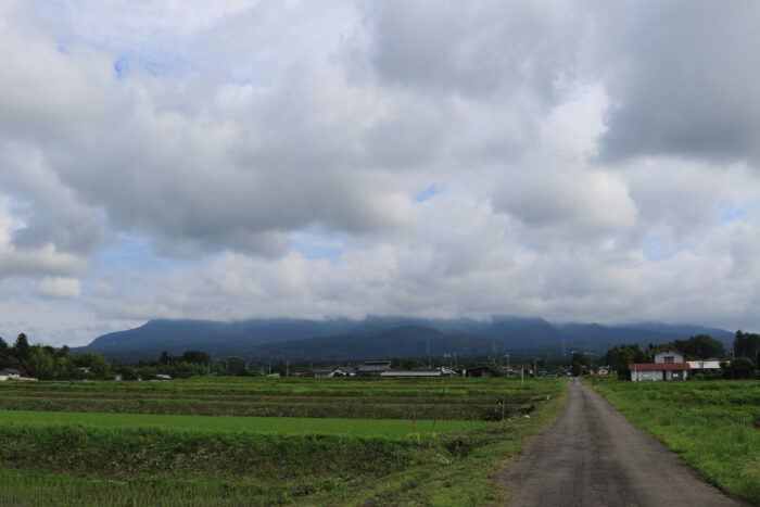 6月21日(月)　AM 8:03　前橋市苗ケ島町