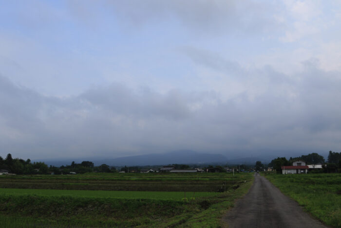 6月22日(火)　AM 7:55　前橋市苗ケ島町