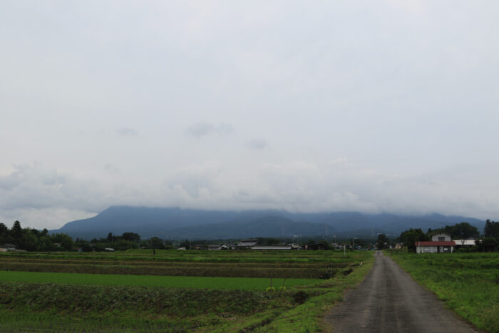 6月23日(水)　AM 7:58　前橋市苗ケ島町