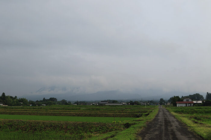 6月25日(金)　AM 7:08　前橋市苗ケ島町