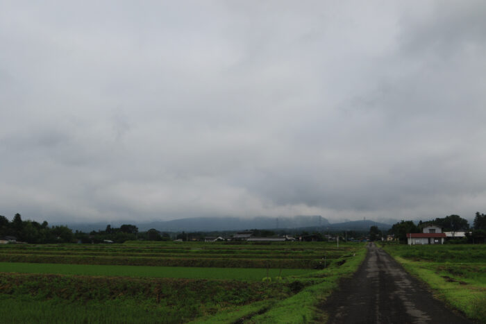 6月26日(土)　AM 7:30　前橋市苗ケ島町