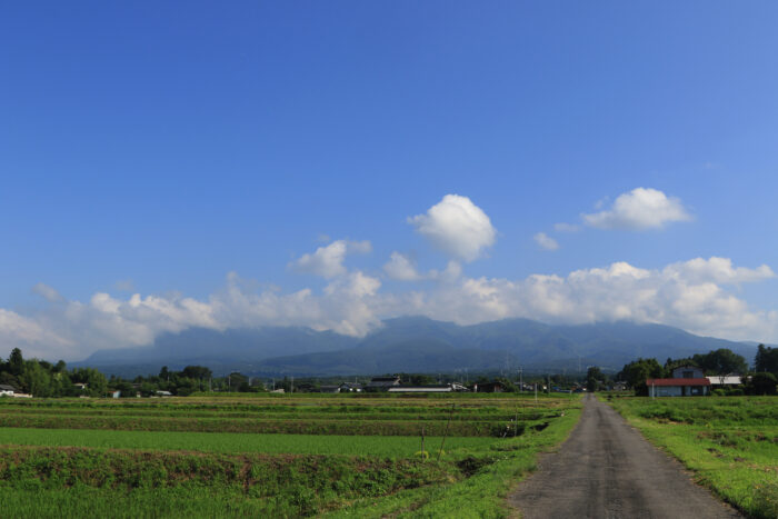 6月28日(月)　AM 7:51　前橋市苗ケ島町