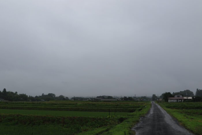 6月29日(火)　AM 7:25　前橋市苗ケ島町