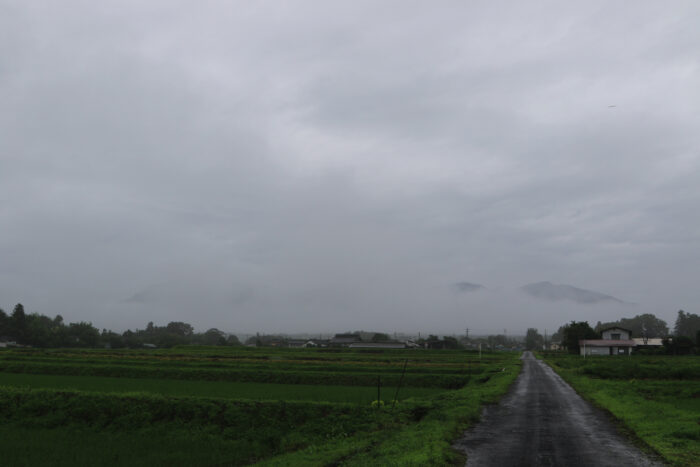 7月5日(月)　AM 6:50　前橋市苗ケ島町