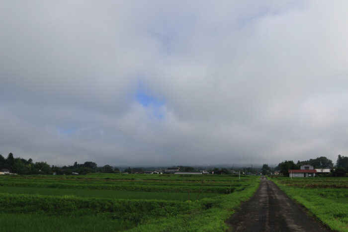 7月10日(土)　AM 7:22　前橋市苗ケ島町