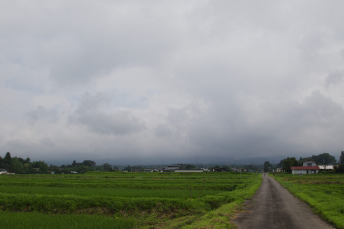 7月14日(水)　AM 7:55　前橋市苗ケ島町