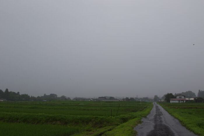 7月15日(木)　AM 7:47　前橋市苗ケ島町