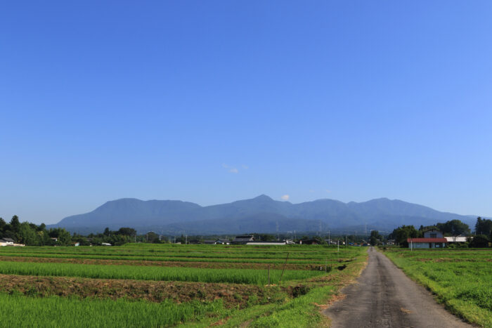 7月19日(月)　AM 8:03　前橋市苗ケ島町