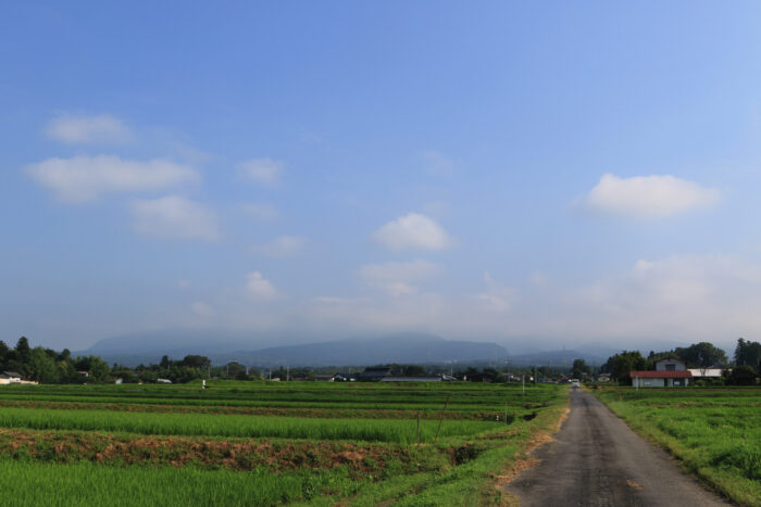 7月21日(水)　AM 7:55　前橋市苗ケ島町