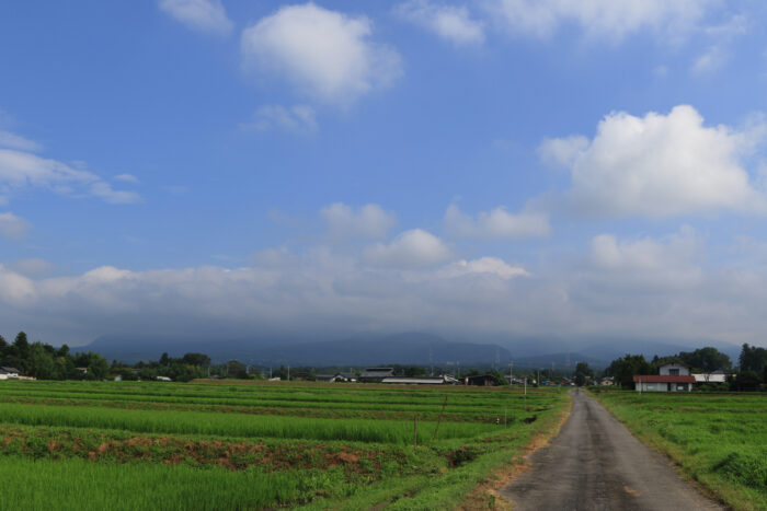 7月23日(金)　AM 8:41　前橋市苗ケ島町